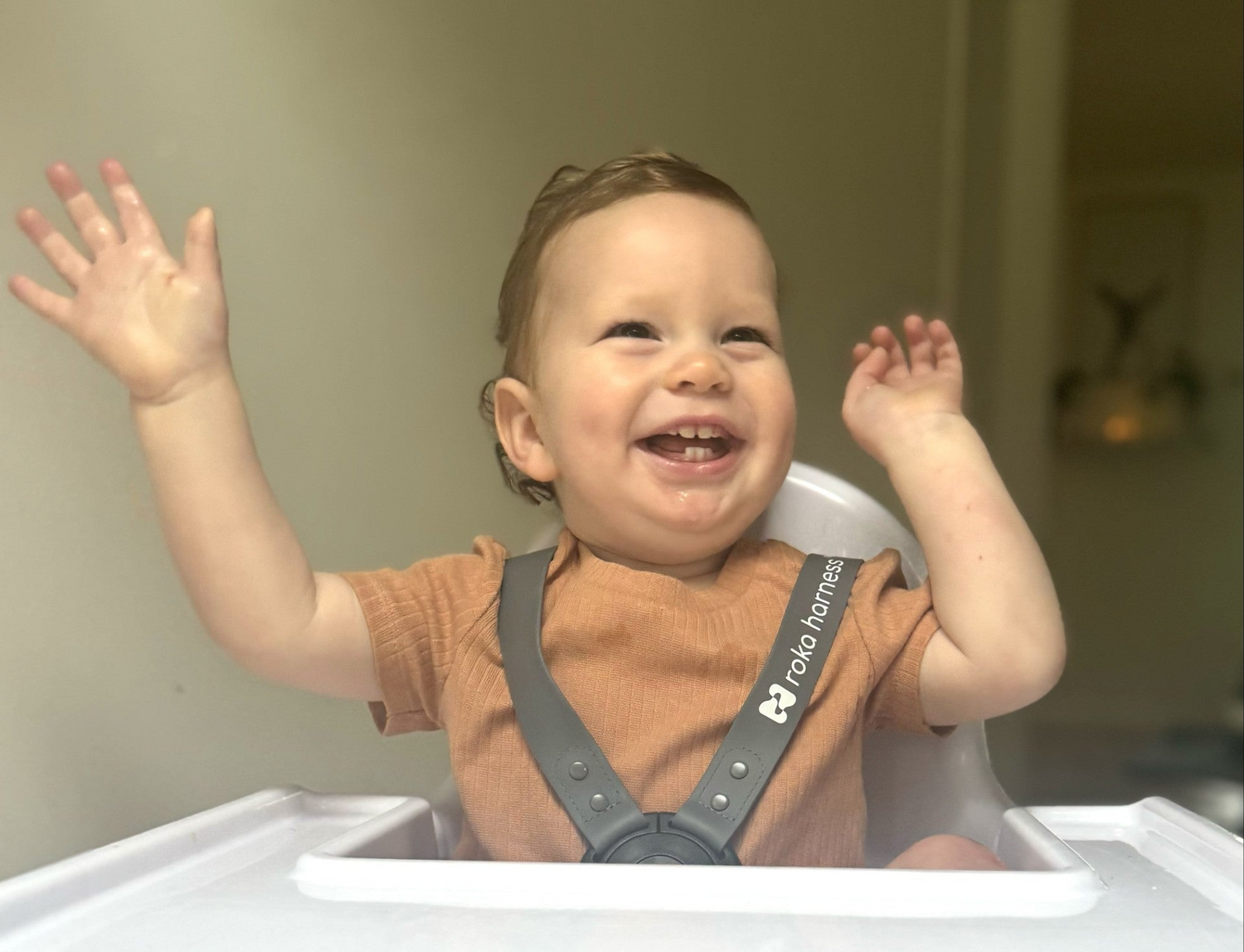 happy boy in high chair wearing roka harness